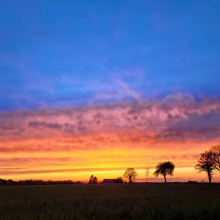 Moorfrosch - Stilvolles Ferien-apartment Am Naturschutzgebiet Dosenmoor * Negenharrie