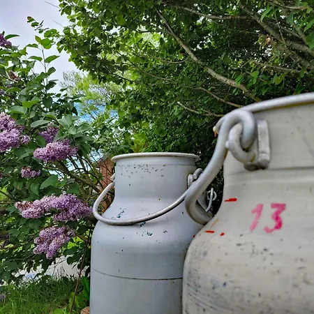 Apartman Moorfrosch - Stilvolles Ferien-apartment Am Naturschutzgebiet Dosenmoor