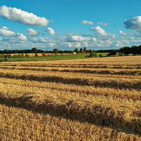 Moorfrosch - Stilvolles Ferien-apartment Am Naturschutzgebiet Dosenmoor *