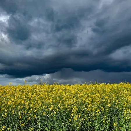 Moorfrosch - Stilvolles Ferien-apartment Am Naturschutzgebiet Dosenmoor Negenharrie