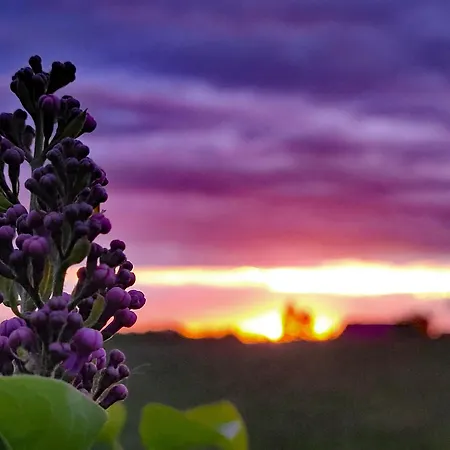 Lägenhet Moorfrosch - Stilvolles Ferien-apartment Am Naturschutzgebiet Dosenmoor Negenharrie