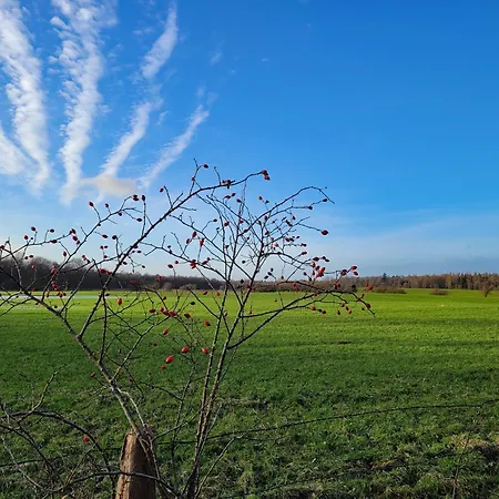 Moorfrosch - Stilvolles Ferien-apartment Am Naturschutzgebiet Dosenmoor * Negenharrie
