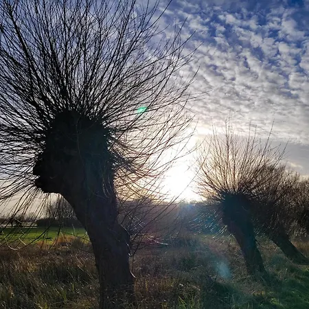 Moorfrosch - Stilvolles Ferien-apartment Am Naturschutzgebiet Dosenmoor Lägenhet