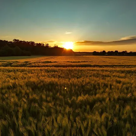 Lägenhet Moorfrosch - Stilvolles Ferien-apartment Am Naturschutzgebiet Dosenmoor Negenharrie