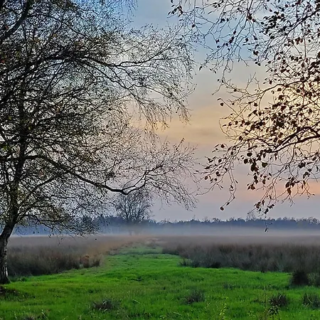 Moorfrosch - Stilvolles Ferien-apartment Am Naturschutzgebiet Dosenmoor *