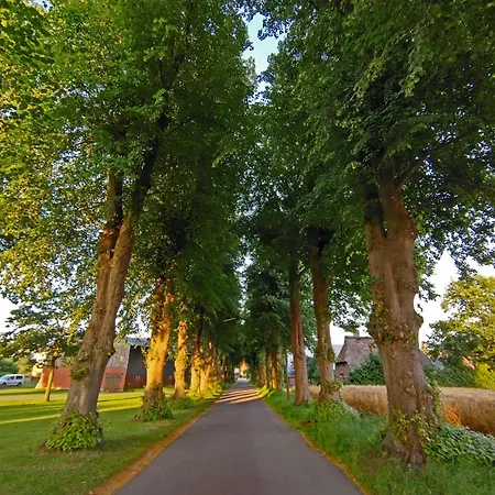 Moorfrosch - Stilvolles Ferien-apartment Am Naturschutzgebiet Dosenmoor Negenharrie