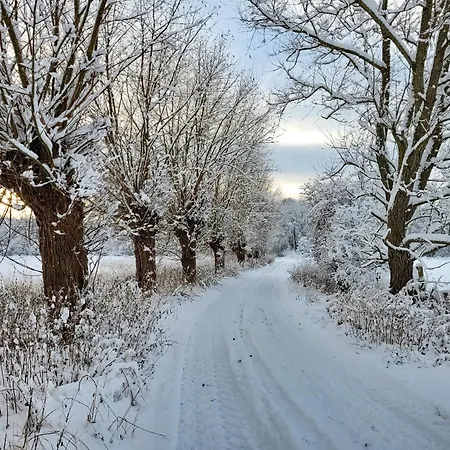 Moorfrosch - Stilvolles Ferien-apartment Am Naturschutzgebiet Dosenmoor * Negenharrie