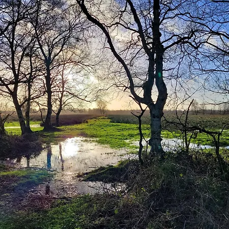Lägenhet Moorfrosch - Stilvolles Ferien-apartment Am Naturschutzgebiet Dosenmoor *